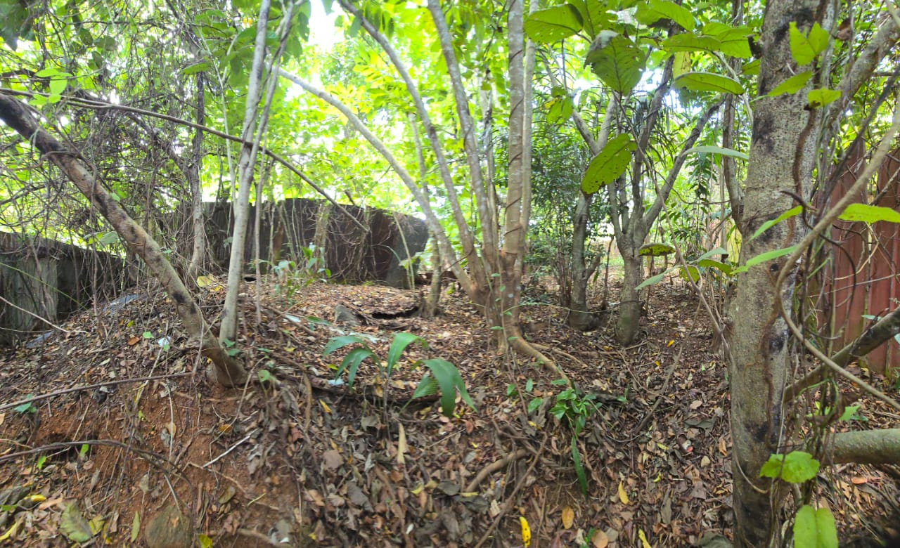 Agence immobilière de Aps Immo