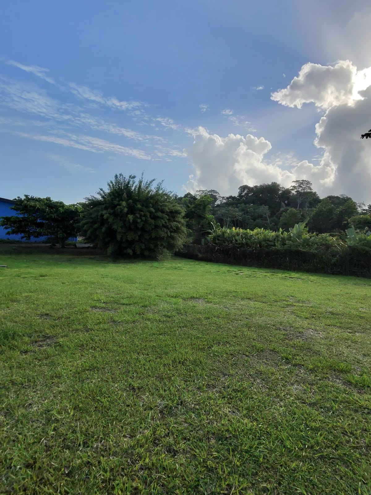 Agence immobilière de Aps Immo